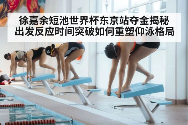 徐嘉余短池世界杯东京站夺金揭秘 出发反应时间突破如何重塑仰泳格局