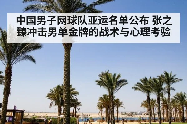中国男子网球队亚运名单公布 张之臻冲击男单金牌的战术与心理考验