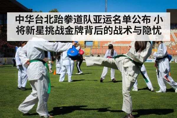 中华台北跆拳道队亚运名单公布 小将新星挑战金牌背后的战术与隐忧